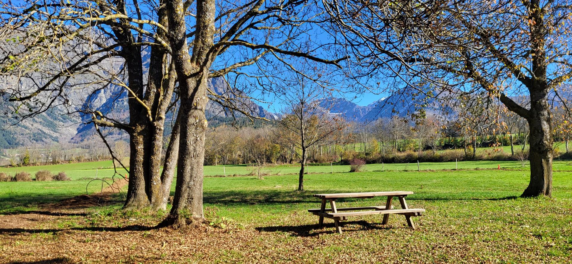 Le Champ des Cimes