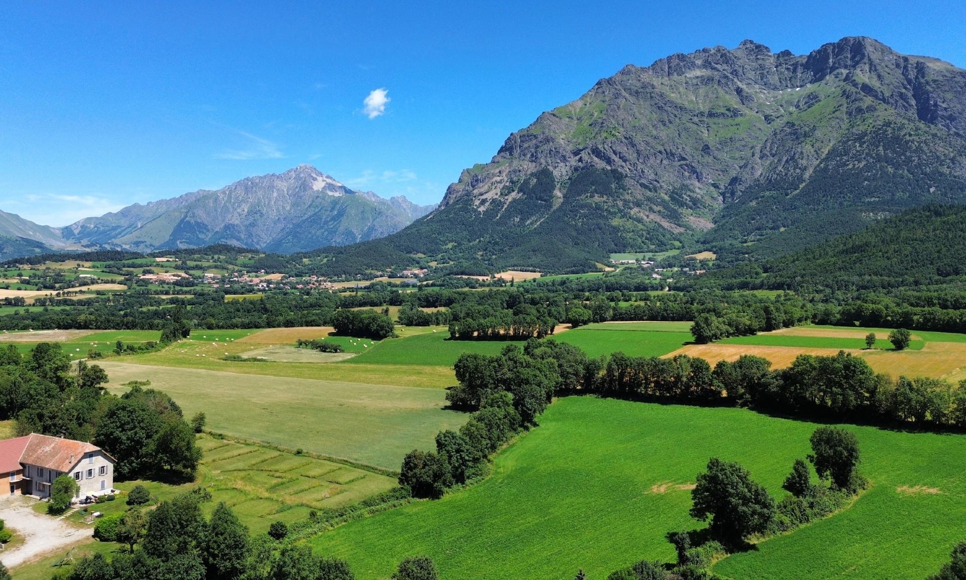 Le Champ des Cimes