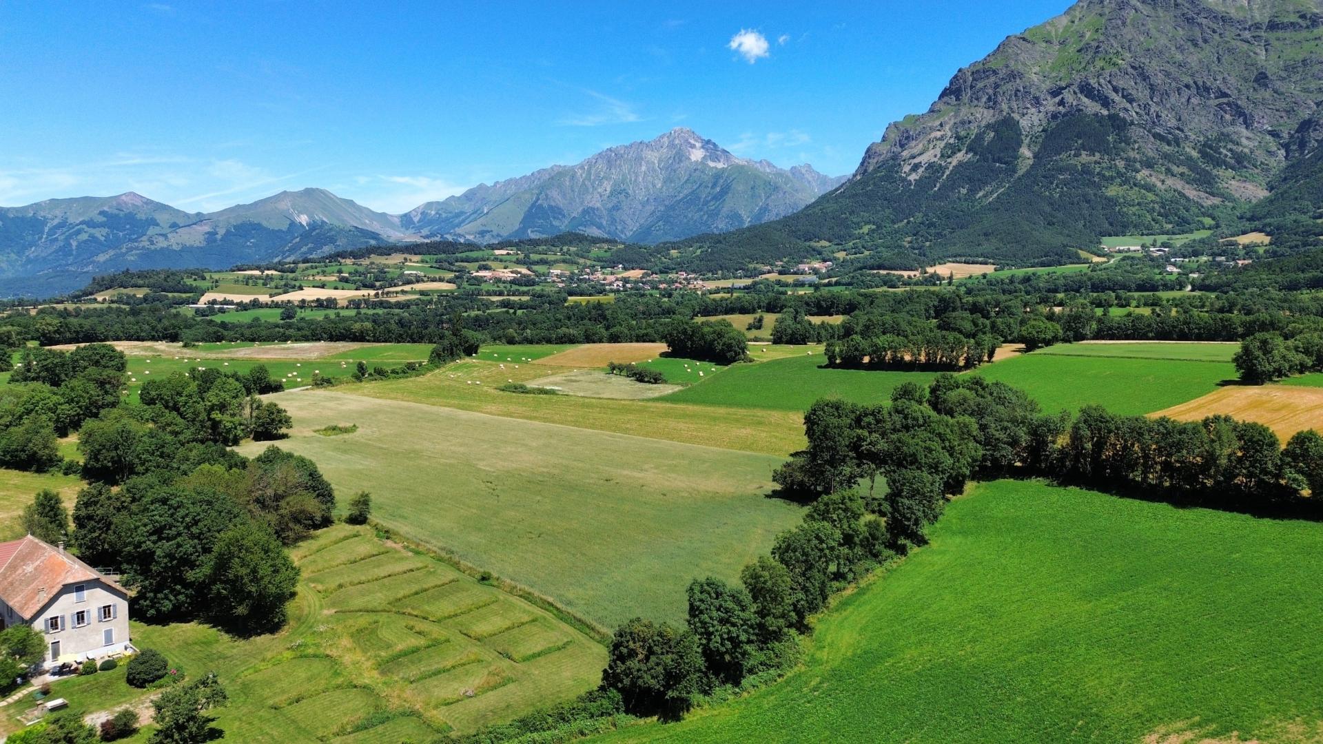 Le Champ des Cimes