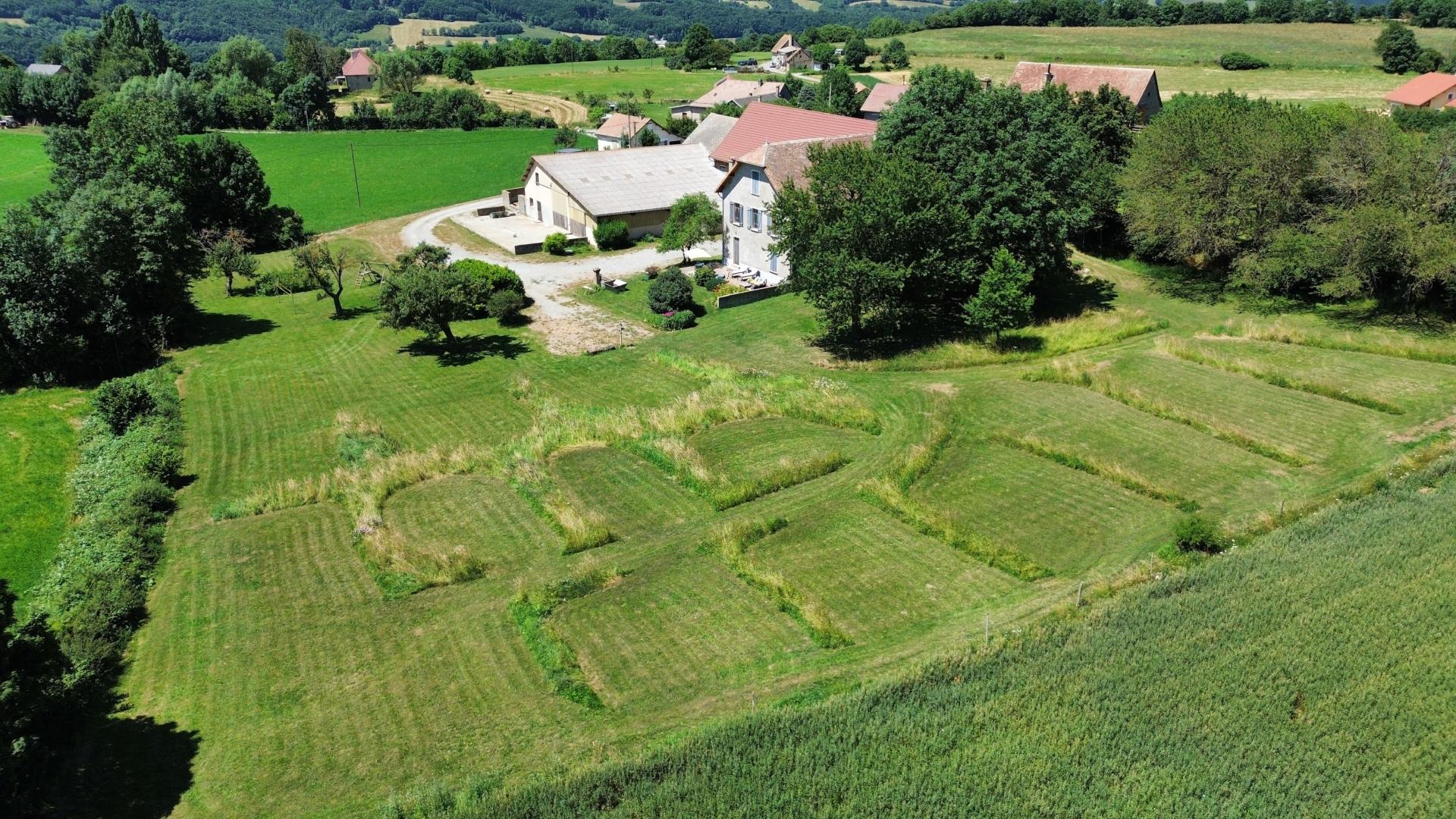 Le Champ des Cimes